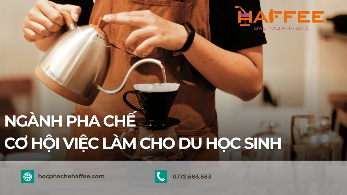 co hoi viec lam pha che du hoc sinh 2024