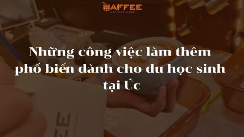 cong-viec-pho-bien-cho-du-hoc-sinh-tai-Uc