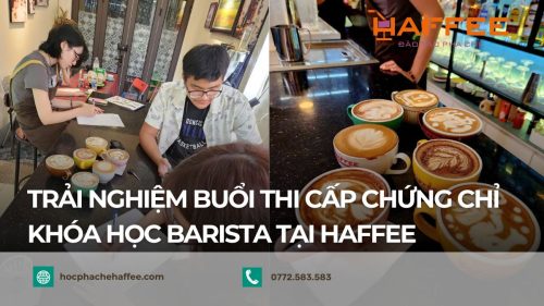thuc te khoa hoc barista