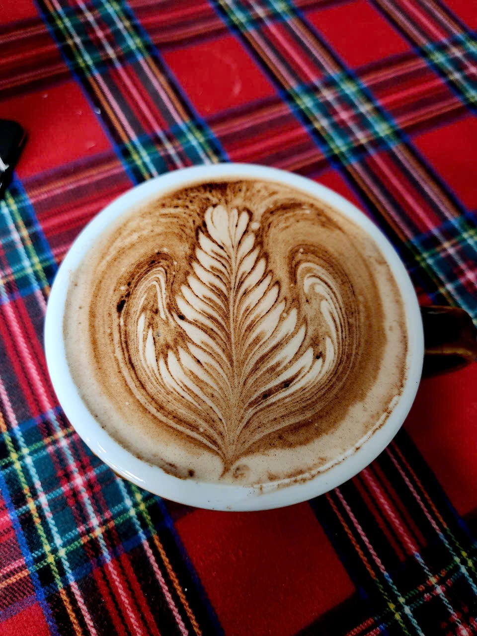 Khóa học latte art