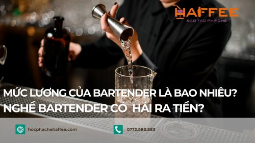 Mức lương của Bartender là bao nhiêu?
