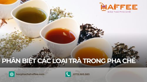 Các loại trà thường dùng trong pha chế, bạn biết loại nào?