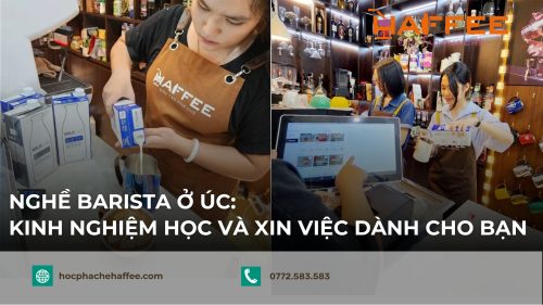 nghe barista o uc