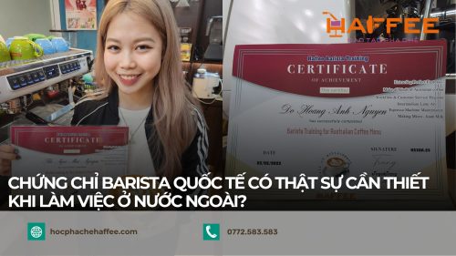 chung chi barista quoc te