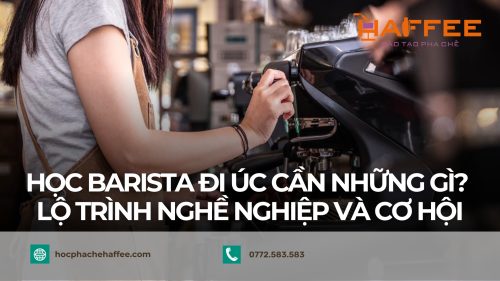 hoc barista di uc