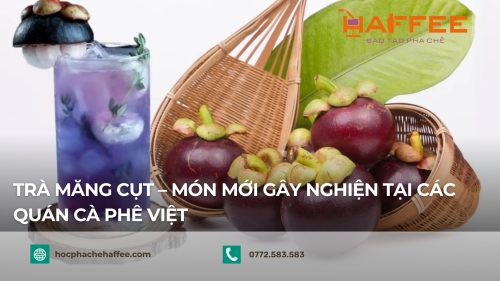 Trà măng cụt