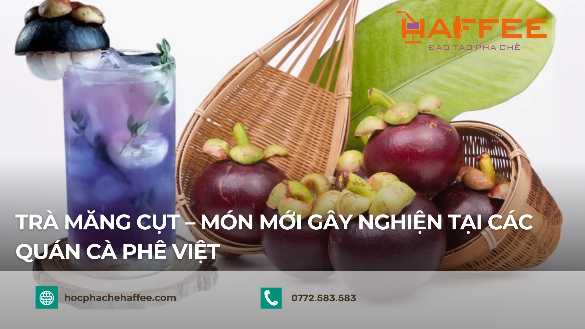 Trà măng cụt
