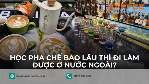 Học pha chế